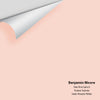 Digital color swatch of Benjamin Moore's Pale Pink Satin 8 Peel & Stick Sample available at Ricciardi BRothers in PA, DE, & NJ.