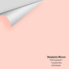 Digital color swatch of Benjamin Moore's Pink Powderpuff 1 Peel & Stick Sample available at Ricciardi BRothers in PA, DE, & NJ.