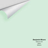 Digital color swatch of Benjamin Moore's Reflection 850 Peel & Stick Sample available at Ricciardi BRothers in PA, DE, & NJ.