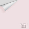 Digital color swatch of Benjamin Moore's Rosemist 1366 Peel & Stick Sample available at Ricciardi BRothers in PA, DE, & NJ.