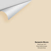 Digital color swatch of Benjamin Moore's Sand Dunes 1072 Peel & Stick Sample available at Ricciardi BRothers in PA, DE, & NJ.