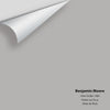 Digital color swatch of Benjamin Moore's Silver Dollar 1460 Peel & Stick Sample available at Ricciardi BRothers in PA, DE, & NJ.