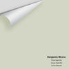 Digital color swatch of Benjamin Moore's Silver Sage 506 Peel & Stick Sample available at Ricciardi BRothers in PA, DE, & NJ.