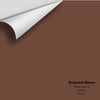 Digital color swatch of Benjamin Moore's Brown 2099-10 Peel & Stick Sample available at Ricciardi BRothers in PA, DE, & NJ.