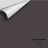 Digital color swatch of Benjamin Moore's Deep Caviar 2130-20 Peel & Stick Sample available at Ricciardi BRothers in PA, DE, & NJ.