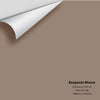 Digital color swatch of Benjamin Moore's Driftwood 2107-40 Peel & Stick Sample available at Ricciardi BRothers in PA, DE, & NJ.