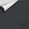 Digital color swatch of Benjamin Moore's Ebony King 2132-20 Peel & Stick Sample available at Ricciardi BRothers in PA, DE, & NJ.