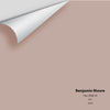 Digital color swatch of Benjamin Moore's Flax 2098-50 Peel & Stick Sample available at Ricciardi BRothers in PA, DE, & NJ.