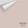 Digital color swatch of Benjamin Moore's Gobi Desert 2110-50 Peel & Stick Sample available at Ricciardi BRothers in PA, DE, & NJ.