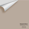 Digital color swatch of Benjamin Moore's Grége Avenue 991 Peel & Stick Sample available at Ricciardi BRothers in PA, DE, & NJ.