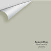 Digital color swatch of Benjamin Moore's Horizon Gray 2141-50 Peel & Stick Sample available at Ricciardi BRothers in PA, DE, & NJ.