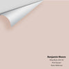 Digital color swatch of Benjamin Moore's Misty Blush 2097-60 Peel & Stick Sample available at Ricciardi BRothers in PA, DE, & NJ.