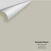 Digital color swatch of Benjamin Moore's Winterwood 1486 Peel & Stick Sample available at Ricciardi BRothers in PA, DE, & NJ.