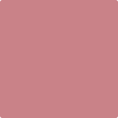 Benjamin Moore's 2005-40 Genuine Pink Paint Color