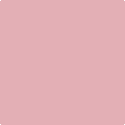 Benjamin Moore's 2005-50 Pink Eraser Paint Color
