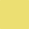 Benjamin Moore's 2024-40 Yellow Finch Paint Color