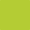 Benjamin Moore's 2025-10 Bright Lime Paint Color