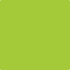 Benjamin Moore's 2026-20 Margarita Paint Color