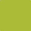 Benjamin Moore's 2027-20 Spring Moss Paint Color