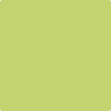 Benjamin Moore's 2028-40 Pear Green Paint Color