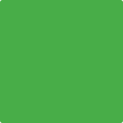 Benjamin Moore's 2030-20 Tropical Seaweed Green Paint Color