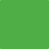 Benjamin Moore's 2031-10 Neon Lime Paint Color