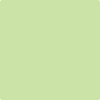 Benjamin Moore's 2031-50 Key Lime Paint Color