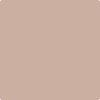 Benjamin Moore's 2096-50 Light Cappuccino Paint Color