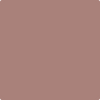 Benjamin Moore's 2102-40 Brown Teepee Paint Color