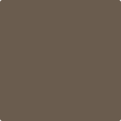 Benjamin Moore's 2108-30 Brown Horse Paint Color