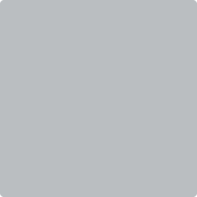 Benjamin Moore's 2124-40 Thundercloud Gray Paint Color