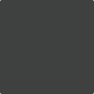 Benjamin Moore's 2125-10 Black Panther Paint Color