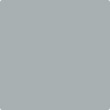 Benjamin Moore's 2134-50 Gull Wing Gray Paint Color