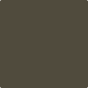 Benjamin Moore's 2138-10 Southern Vine Paint Color