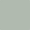 Benjamin Moore's 2138-50 Misted Green Paint Color