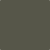 Benjamin Moore's 2140-20 Tuscany Green Paint Color