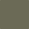 Benjamin Moore's 2141-30 Army Patch Paint Color