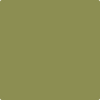 Benjamin Moore's 2145-20 Terrapin Green Paint Color