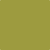 Benjamin Moore's 2146-20 Forest Moss Paint Color