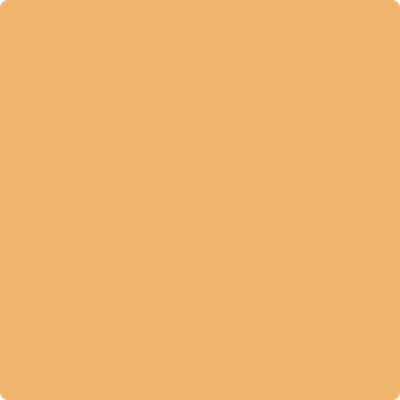 Benjamin Moore's 2156-40 August Morning Paint Color