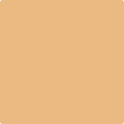 Benjamin Moore's 2158-40 Golden Mist Paint Color