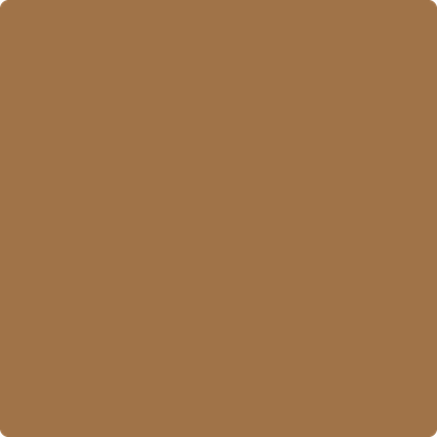 Benjamin Moore's 2161-20 Tawny Paint Color