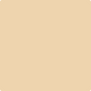 Benjamin Moore's 2165-50 Natural Sand Paint Color