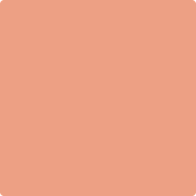 Benjamin Moore's 2170-40 Coral Spice Paint Color