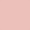 Benjamin Moore's 2172-60 Pink Hibuscus Paint Color