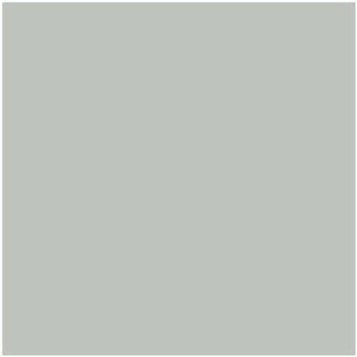 Benjamin Moore Color AF-490 Tranquillity