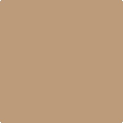 Benjamin Moore Color CC-302 Rawhide