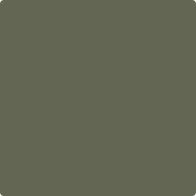 Benjamin Moore Color CC-570 Forest Floor