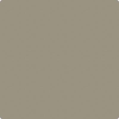 Benjamin Moore Color CC-696 Taiga