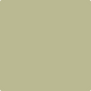 Benjamin Moore Color HC-115 Georgian Green